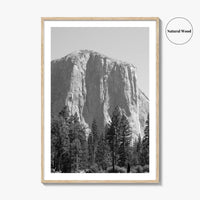 Yosemite National Park Black and White Fine Art Photo Print, El Capitan, California Poster