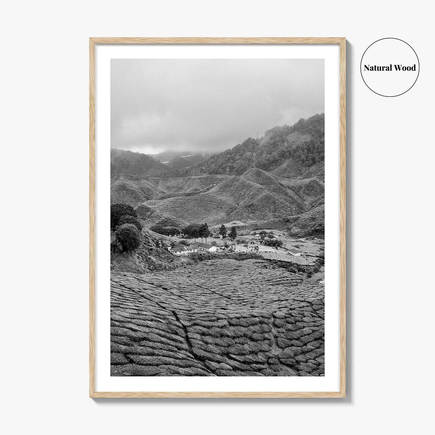 Cameroon Black and White Fine Art Photo Print, Highland Tea Farm, Africa Wall Poster
