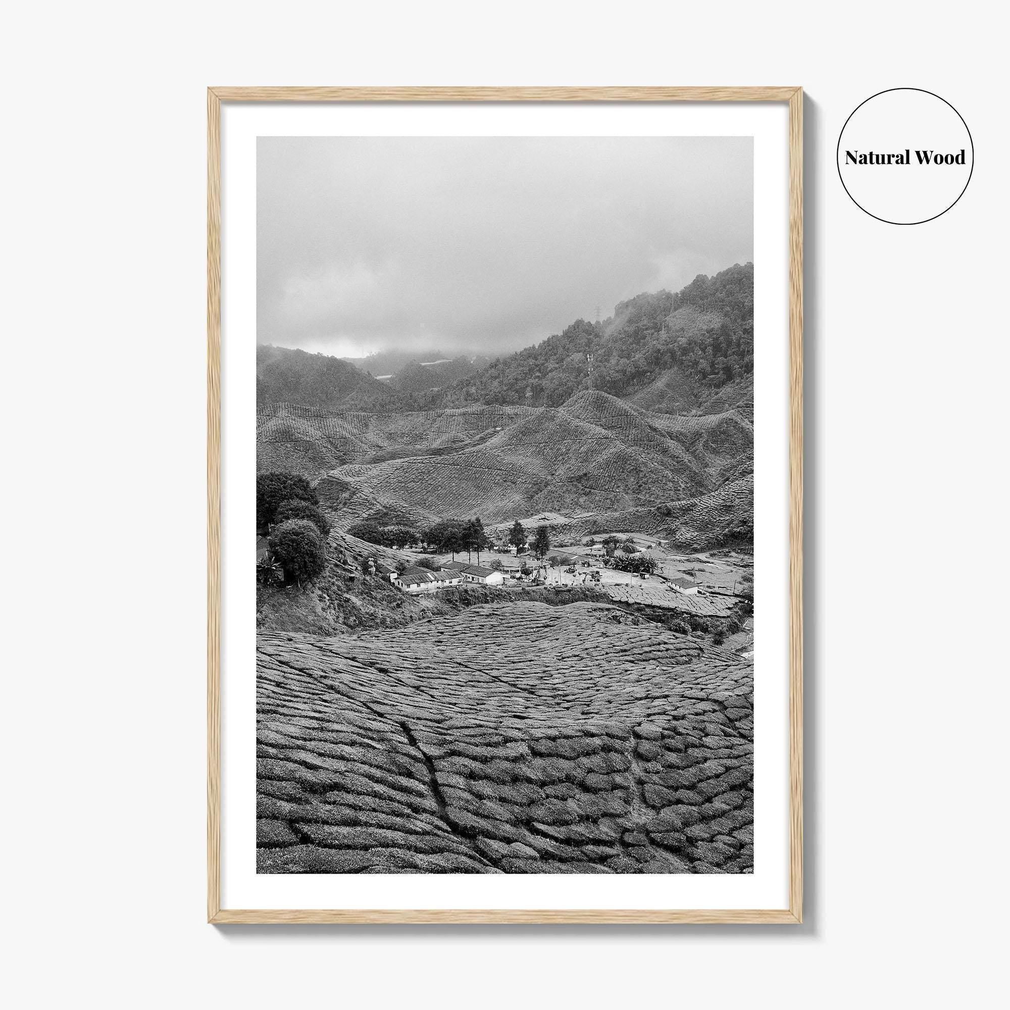 Cameroon Black and White Fine Art Photo Print, Highland Tea Farm, Africa Wall Poster