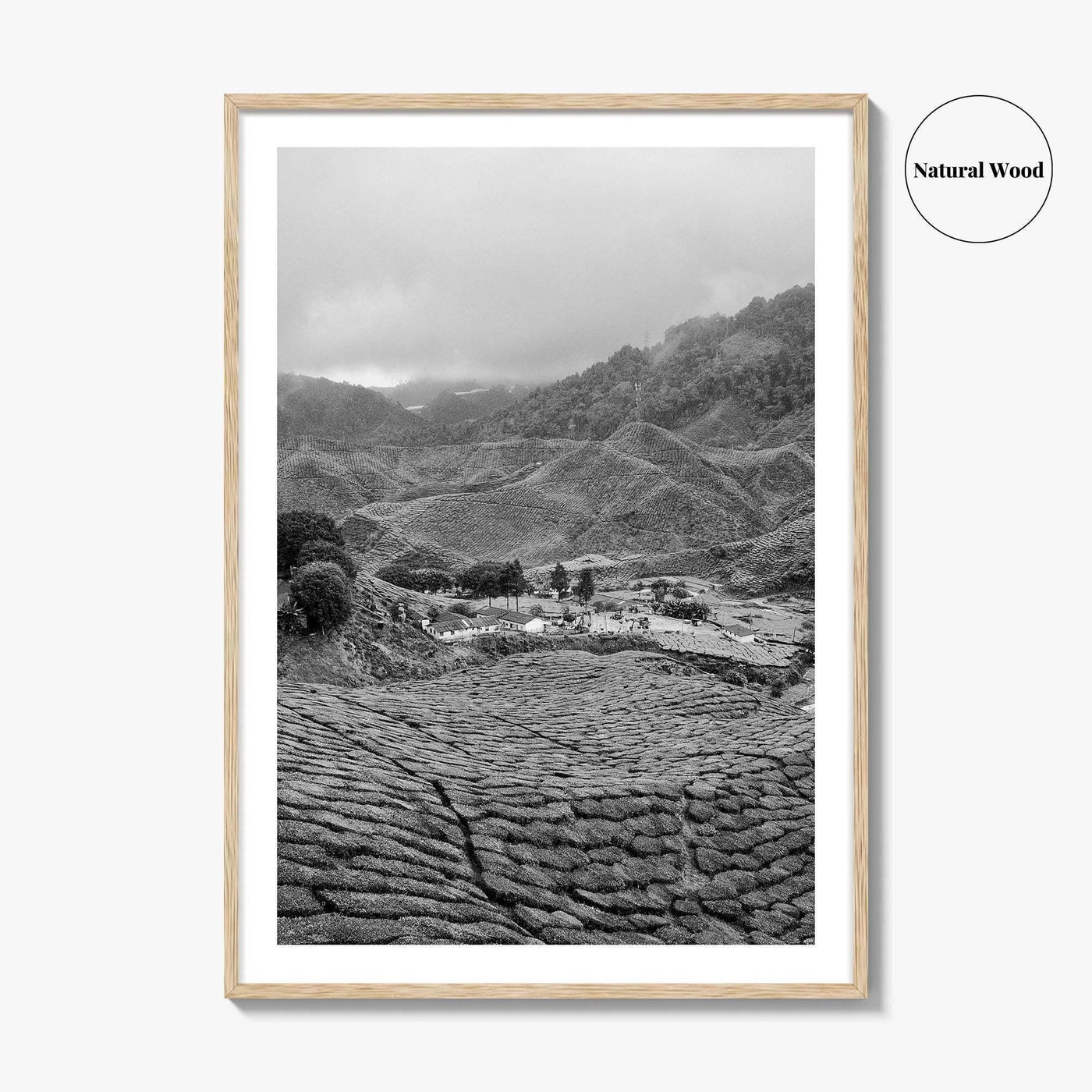 Cameroon Black and White Fine Art Photo Print, Highland Tea Farm, Africa Wall Poster