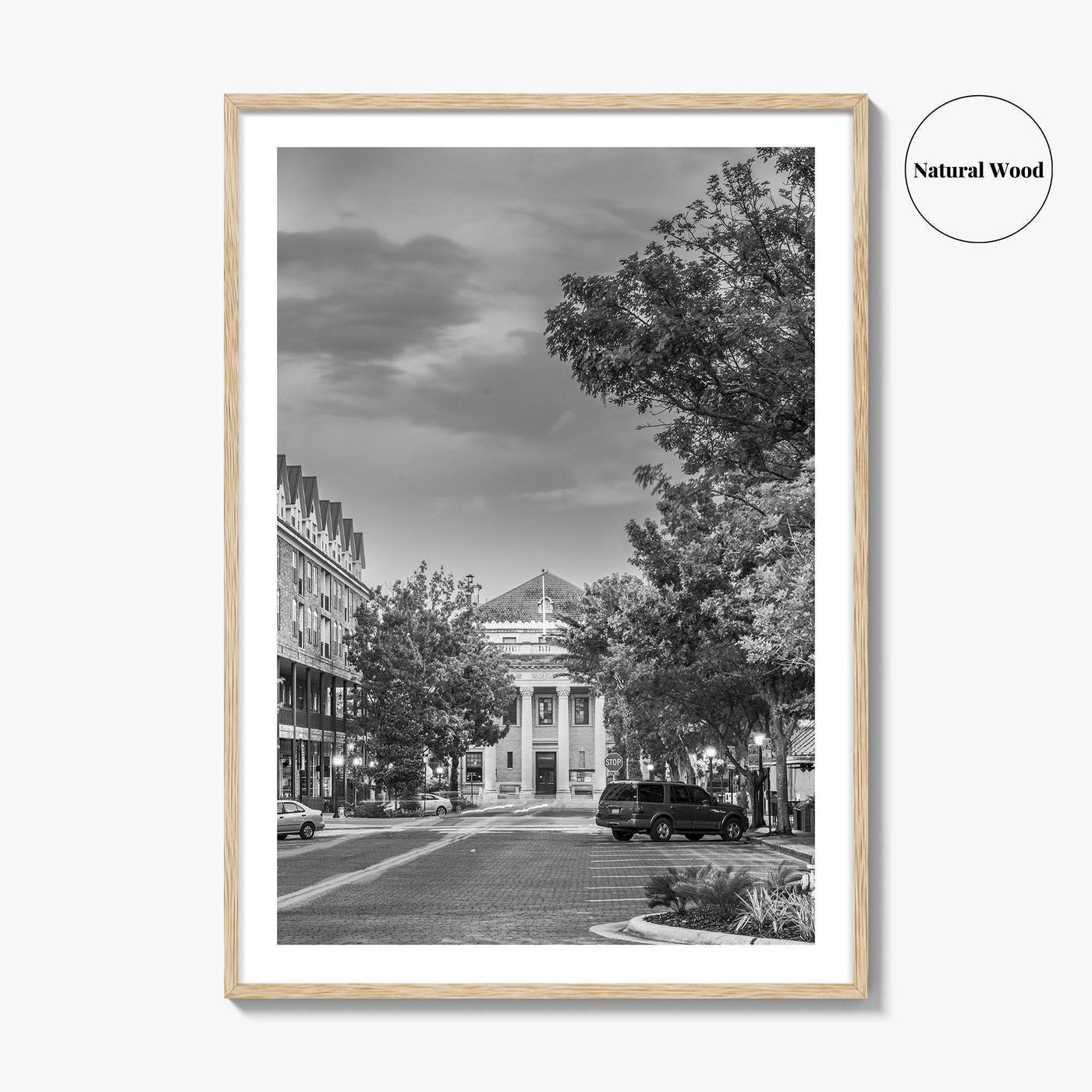 Gainesville Black and White Fine Art Photo Print, FL USA, Wall Poster