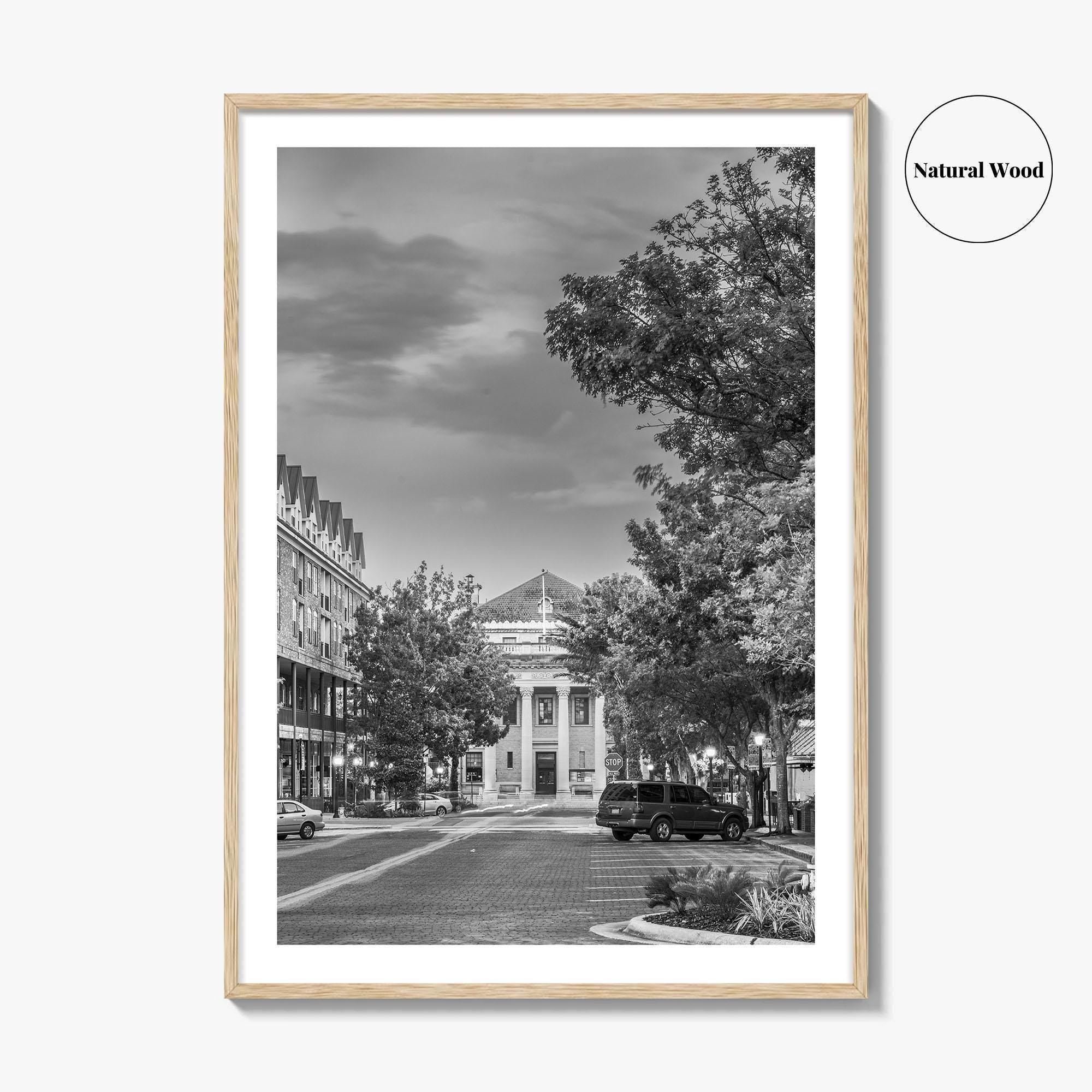 Gainesville Black and White Fine Art Photo Print, FL USA, Wall Poster