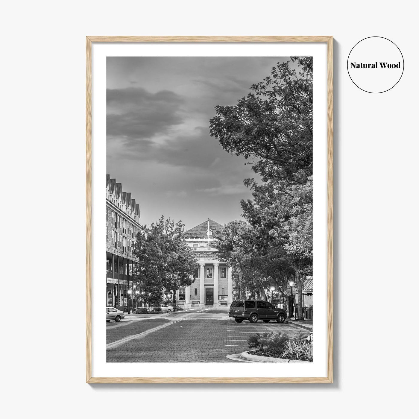 Gainesville Black and White Fine Art Photo Print, FL USA, Wall Poster