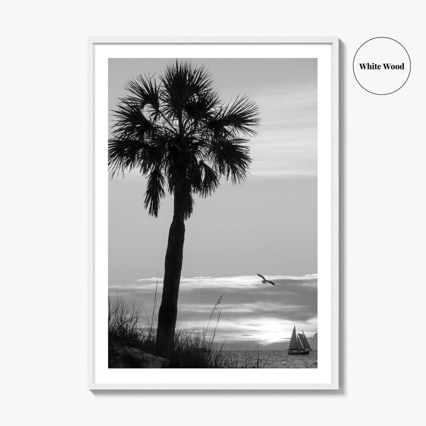 Clearwater Black and White Fine Art Photo Print, Palm Tree Florida Poster