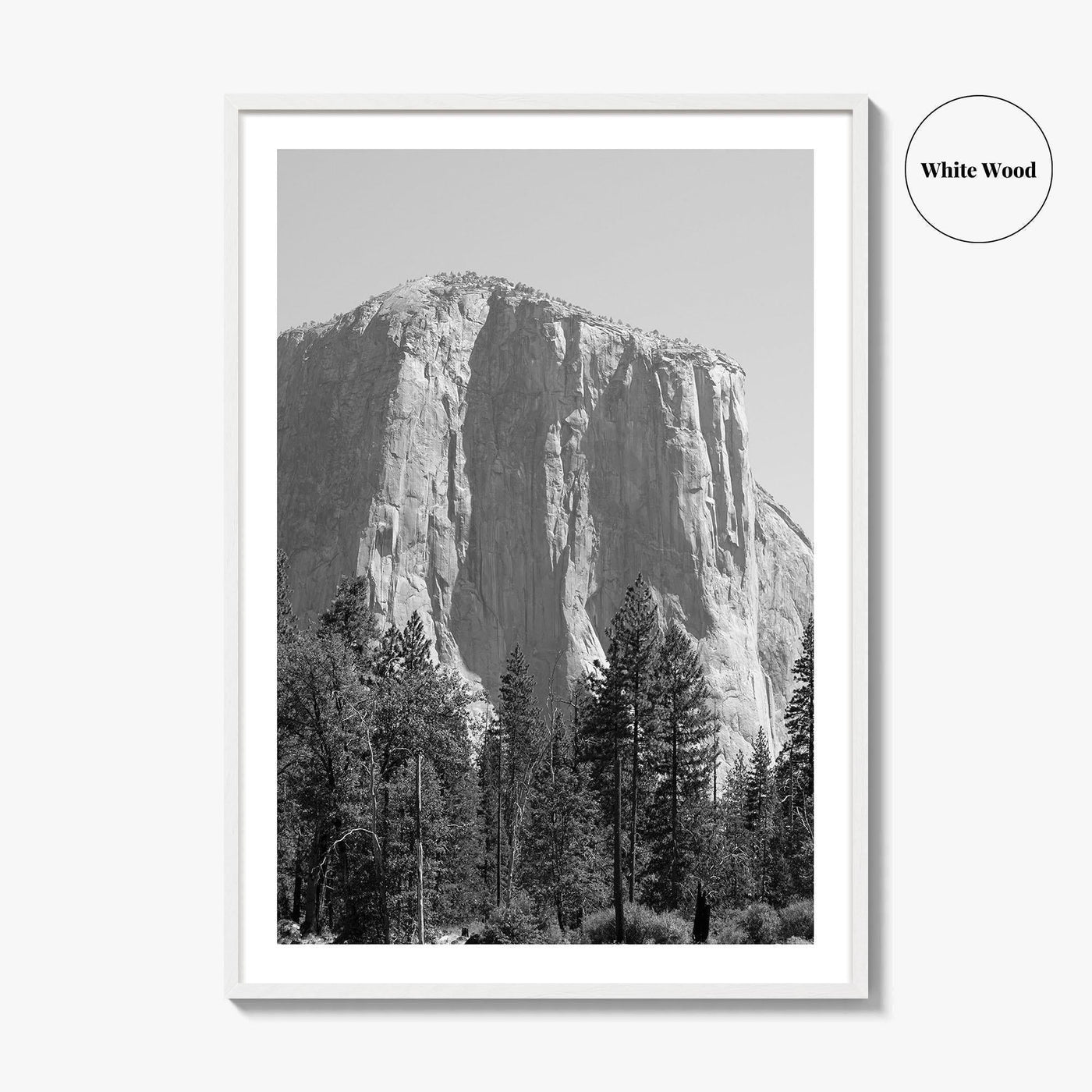 Yosemite National Park Black and White Fine Art Photo Print, El Capitan, California Poster