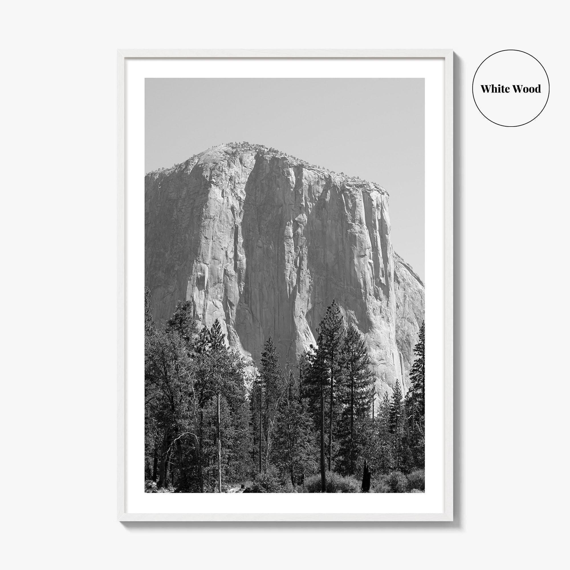 Yosemite National Park Black and White Fine Art Photo Print, El Capitan, California Poster