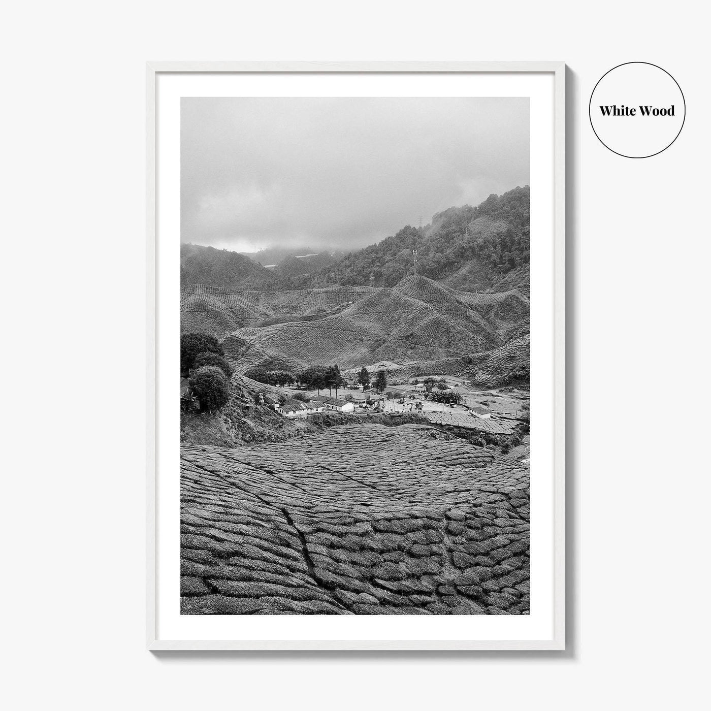 Cameroon Black and White Fine Art Photo Print, Highland Tea Farm, Africa Wall Poster