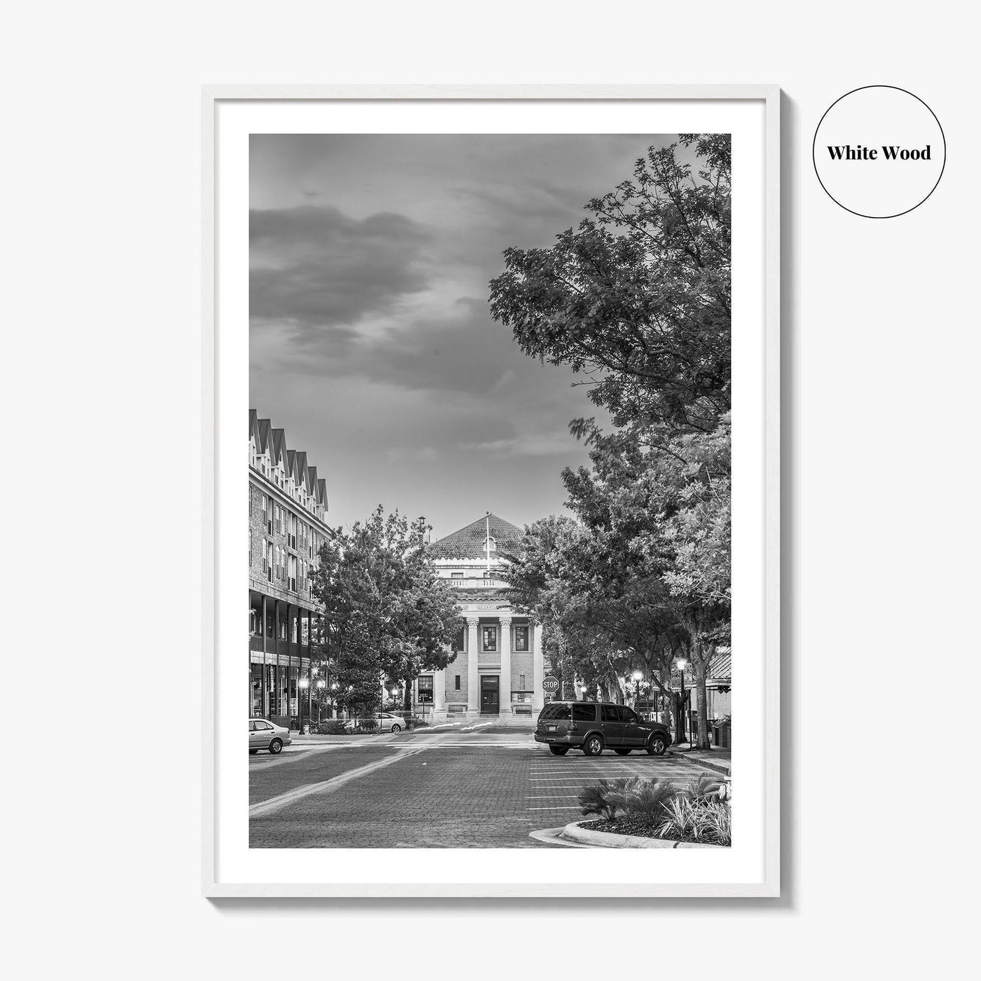 Gainesville Black and White Fine Art Photo Print, FL USA, Wall Poster