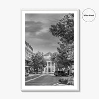 Gainesville Black and White Fine Art Photo Print, FL USA, Wall Poster