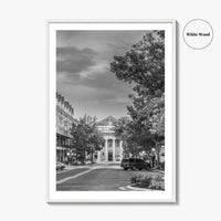 Gainesville Black and White Fine Art Photo Print, FL USA, Wall Poster