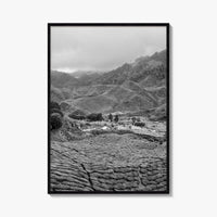 Cameroon Black and White Fine Art Photo Print, Highland Tea Farm, Africa Wall Poster