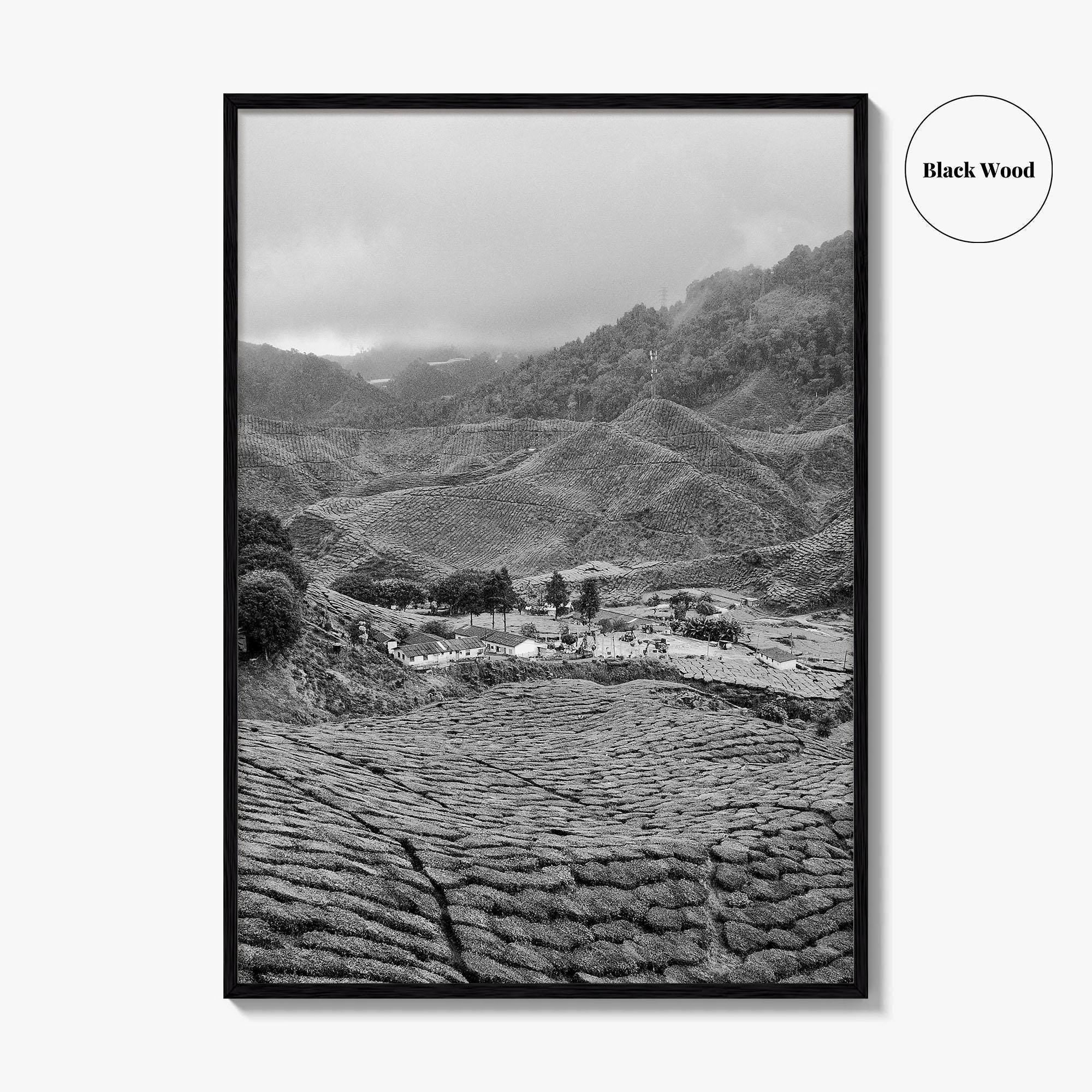Cameroon Black and White Fine Art Photo Print, Highland Tea Farm, Africa Wall Poster