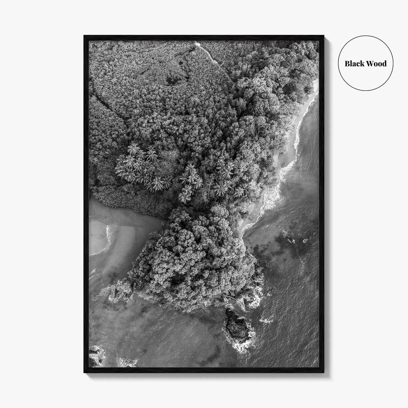 Manuel Antonio Black and White Fine Art Photo Print, Costa Rica, Beach Home Decor