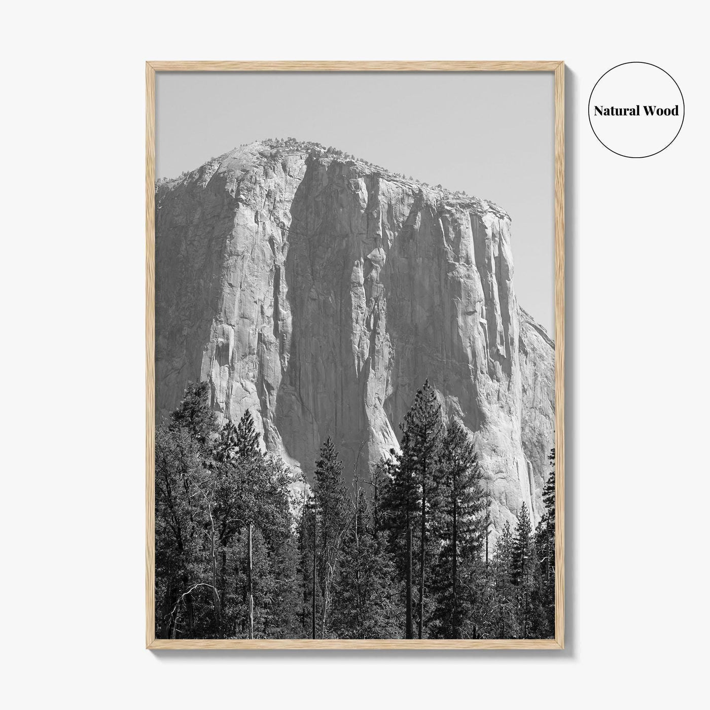 Yosemite National Park Black and White Fine Art Photo Print, El Capitan, California Poster