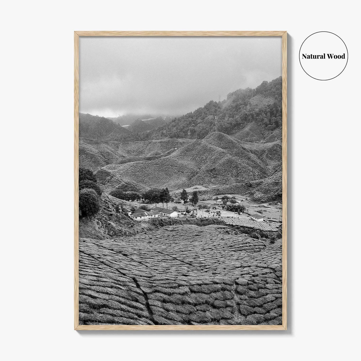 Cameroon Black and White Fine Art Photo Print, Highland Tea Farm, Africa Wall Poster