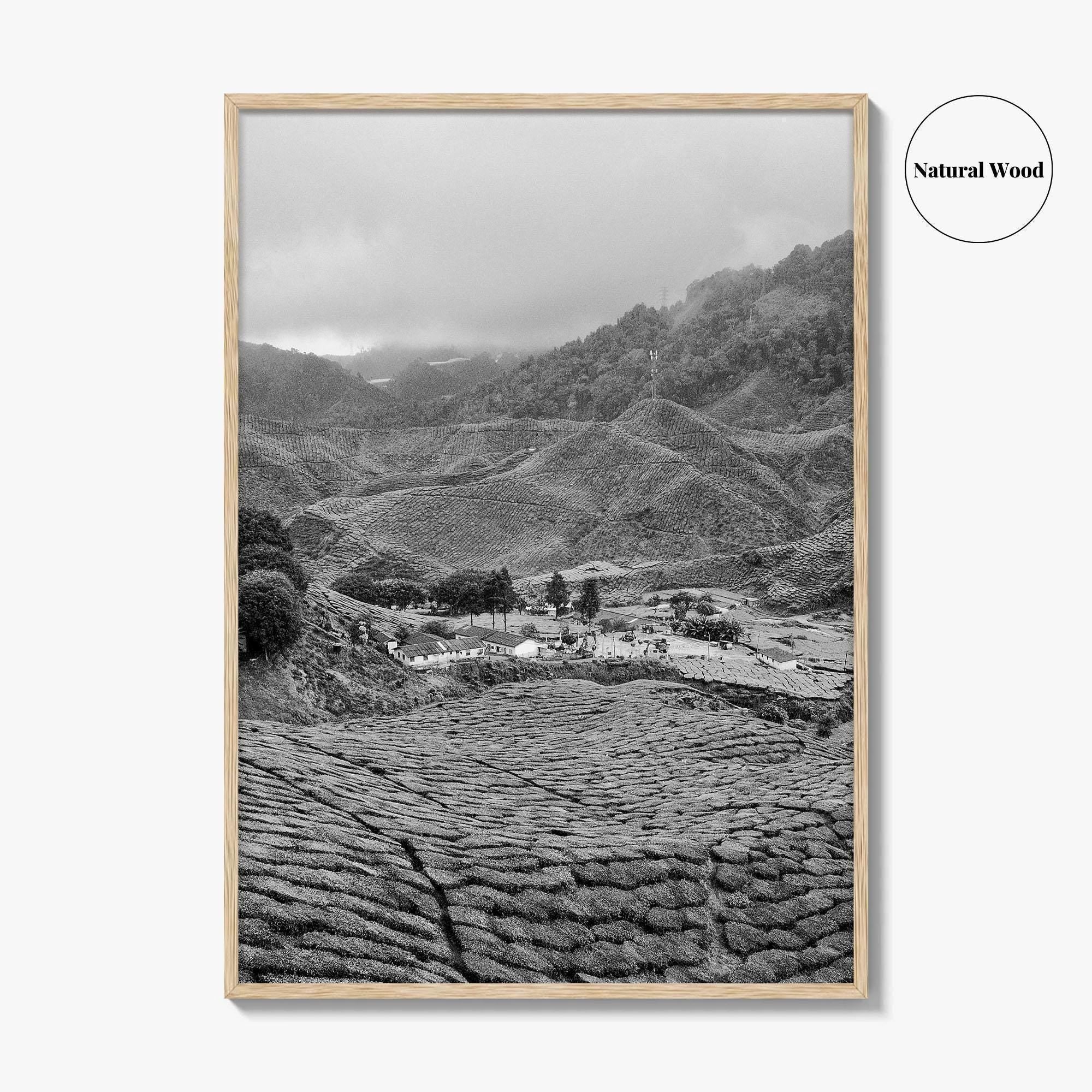 Cameroon Black and White Fine Art Photo Print, Highland Tea Farm, Africa Wall Poster