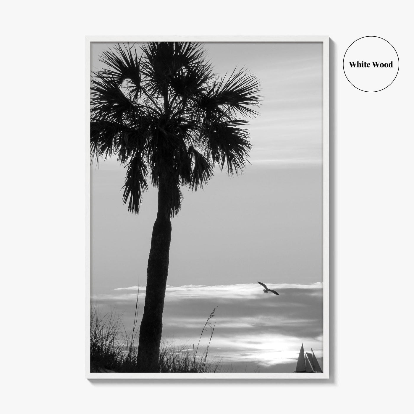 Clearwater Black and White Fine Art Photo Print, Palm Tree Florida Poster