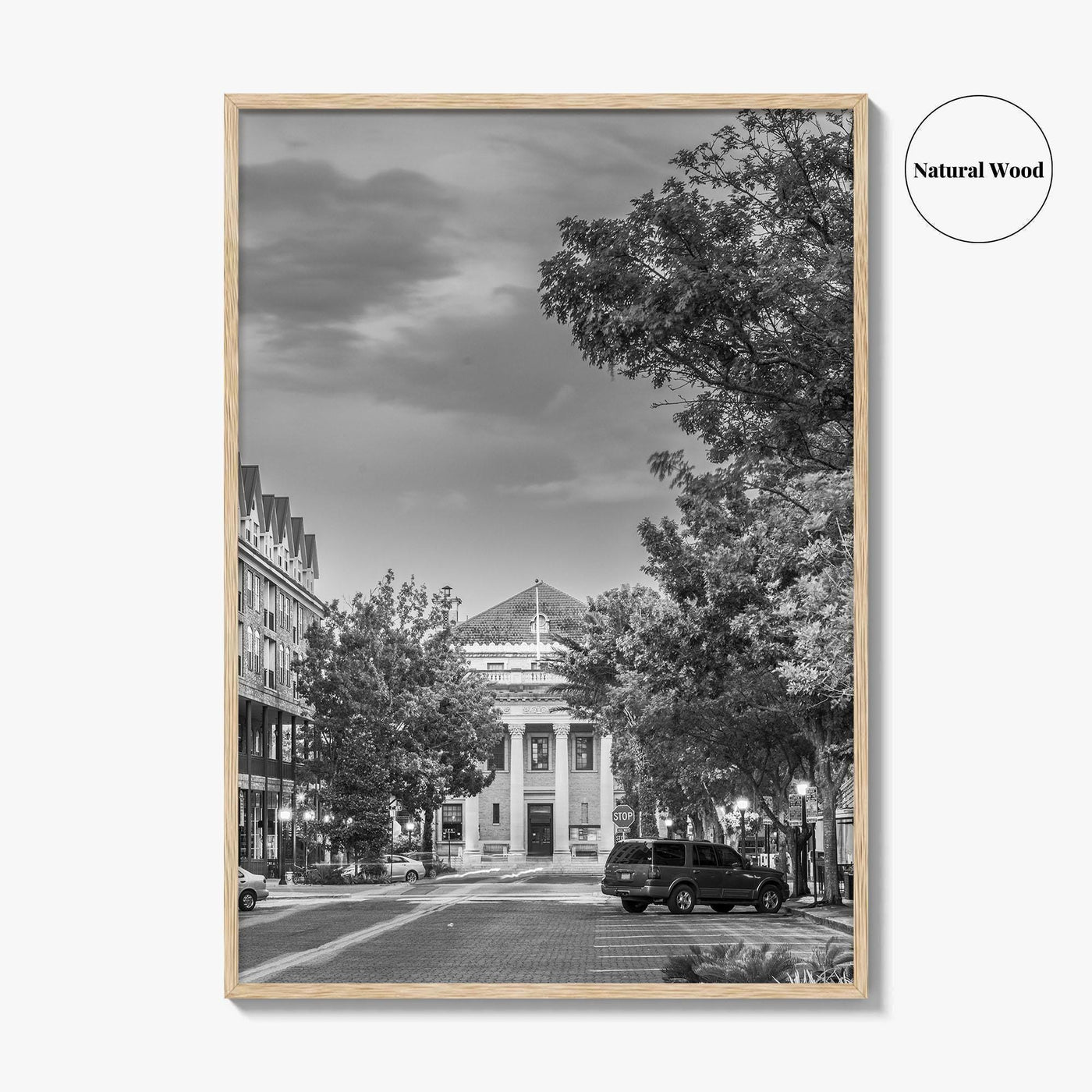 Gainesville Black and White Fine Art Photo Print, FL USA, Wall Poster