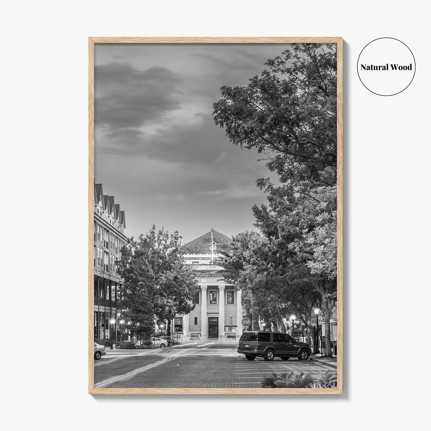 Gainesville Black and White Fine Art Photo Print, FL USA, Wall Poster