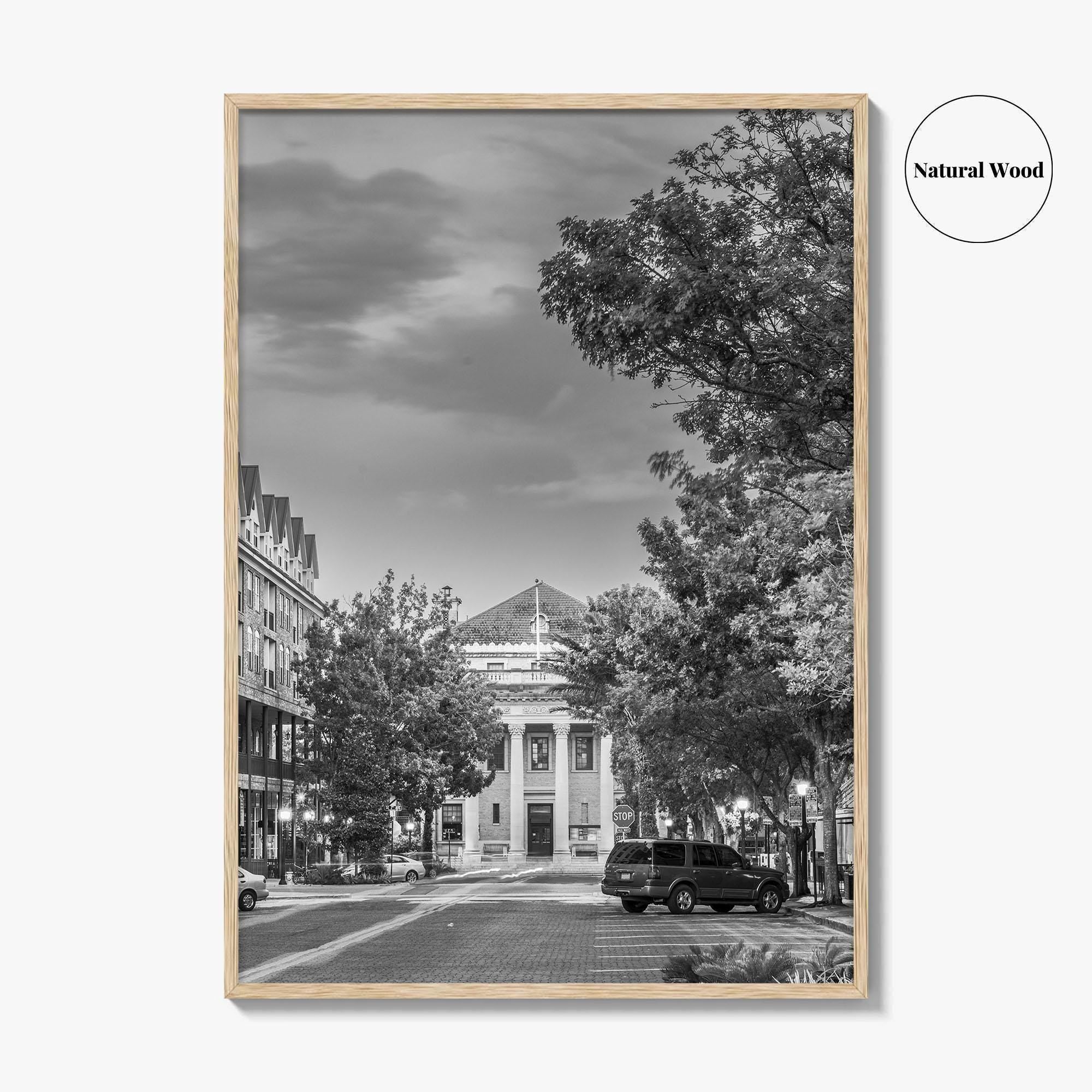 Gainesville Black and White Fine Art Photo Print, FL USA, Wall Poster