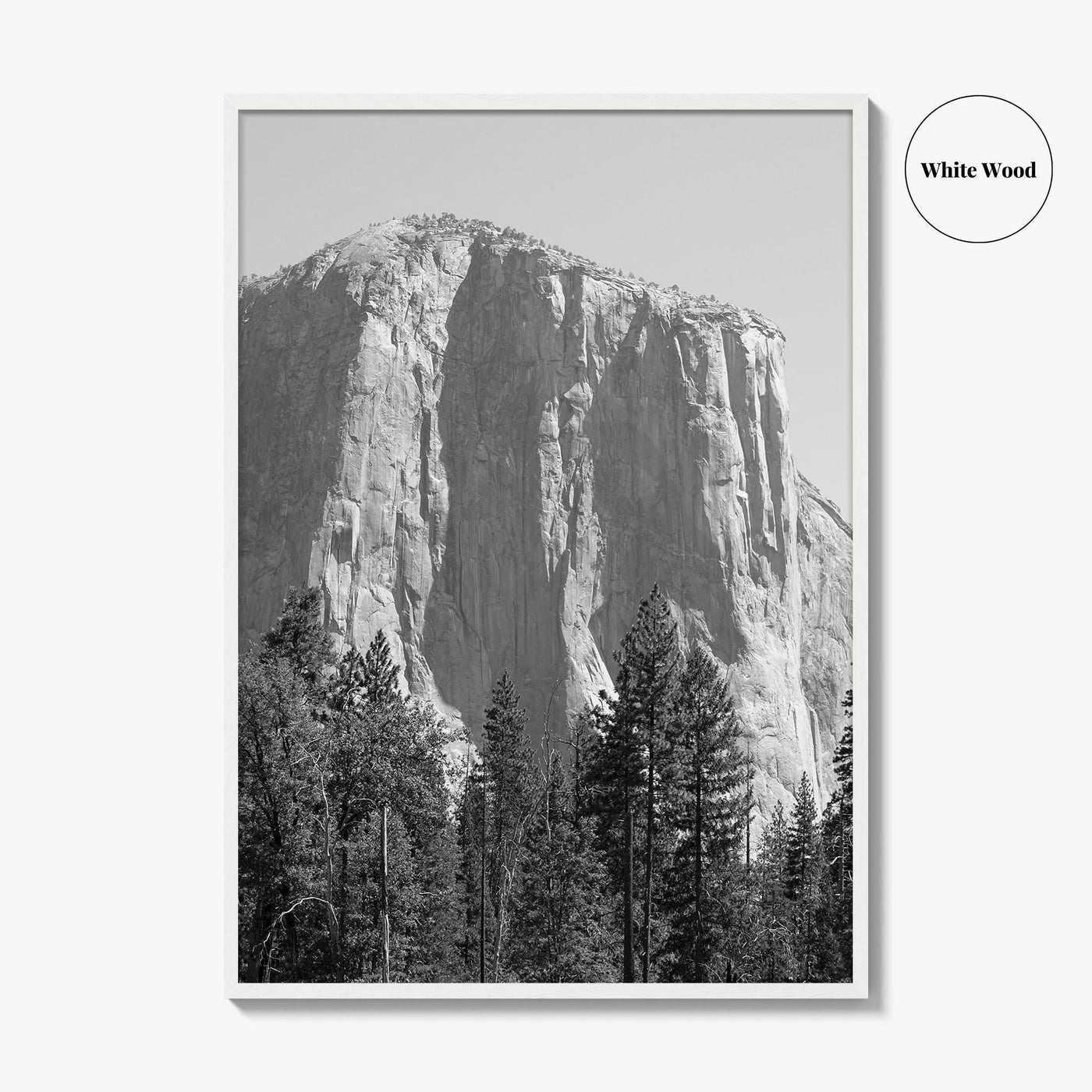 Yosemite National Park Black and White Fine Art Photo Print, El Capitan, California Poster