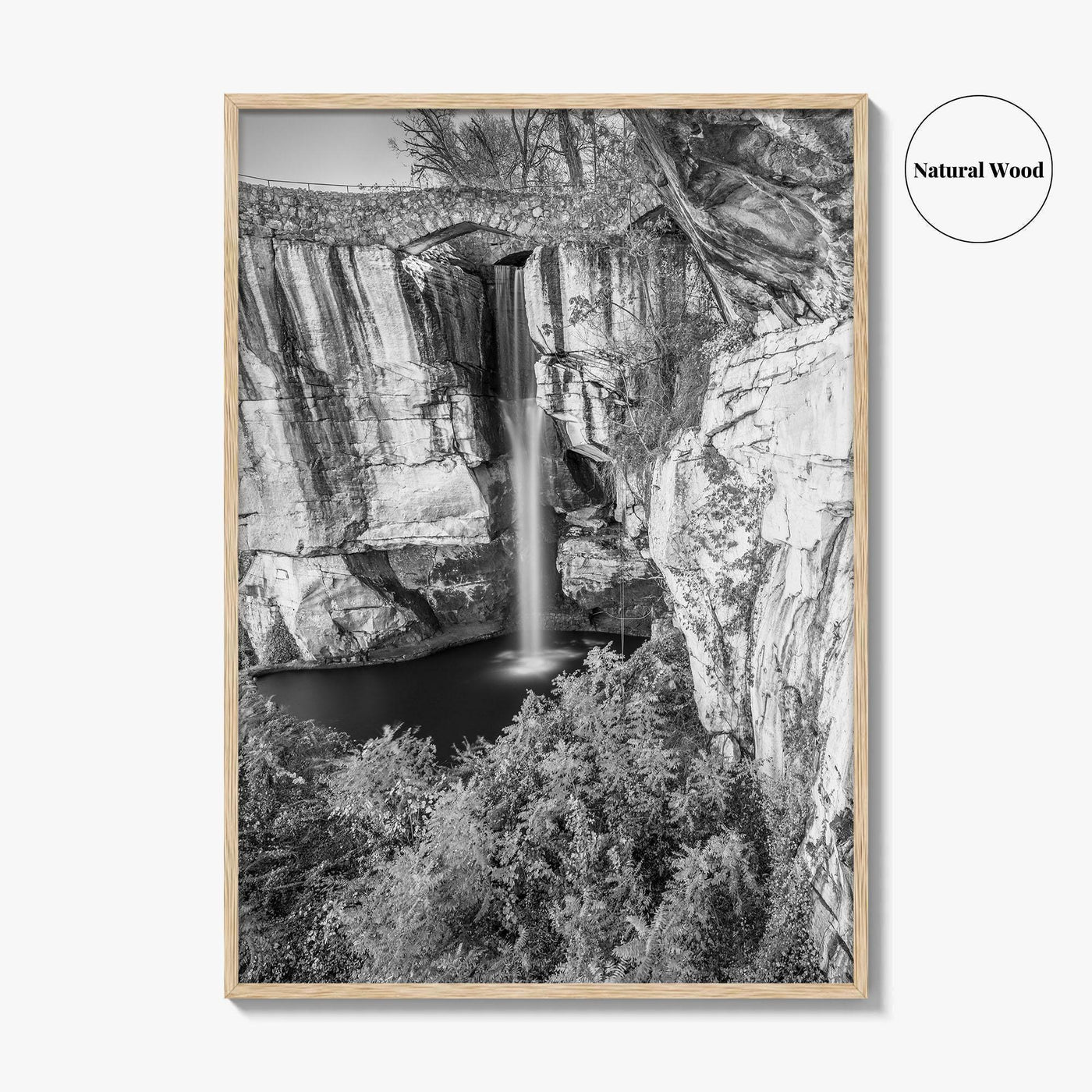 Lookout Mountain Black and White Fine Art Photo Print, Georgia USA, High Falls Poster