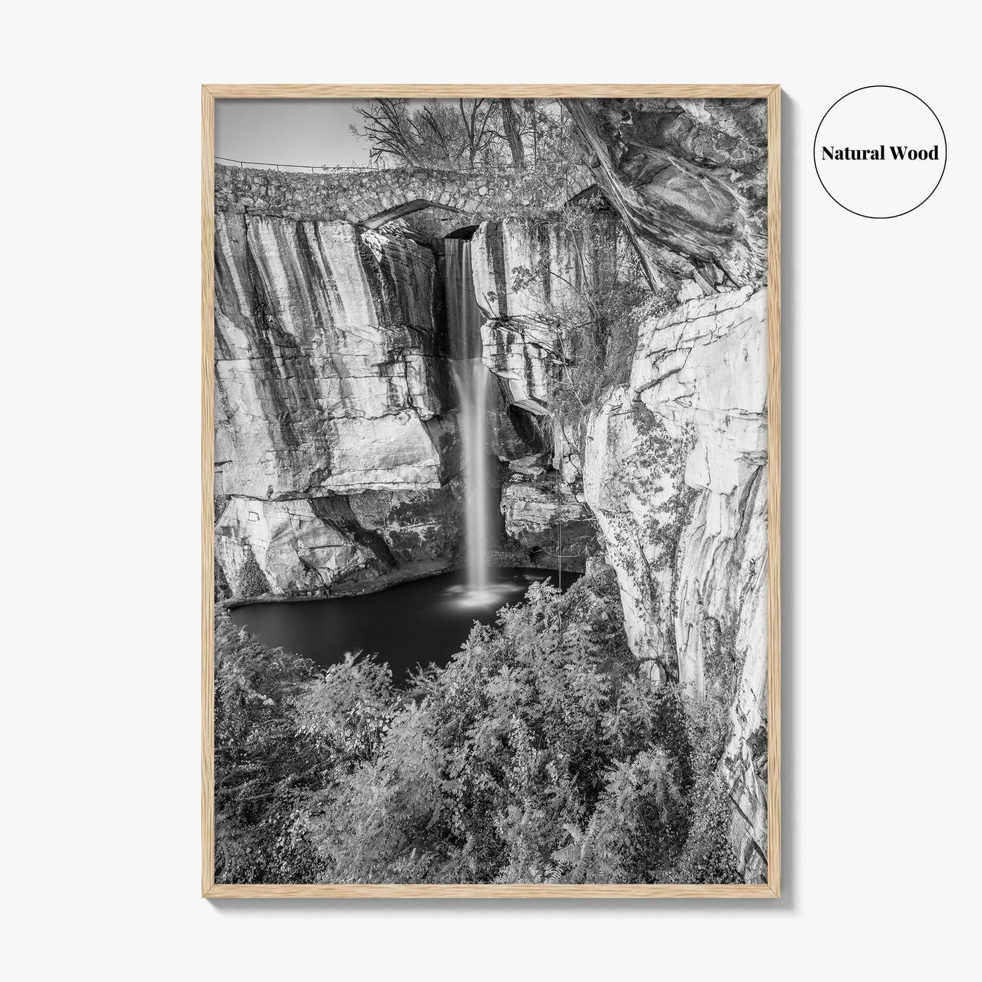 Lookout Mountain Black and White Fine Art Photo Print, Georgia USA, High Falls Poster