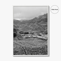 Cameroon Black and White Fine Art Photo Print, Highland Tea Farm, Africa Wall Poster