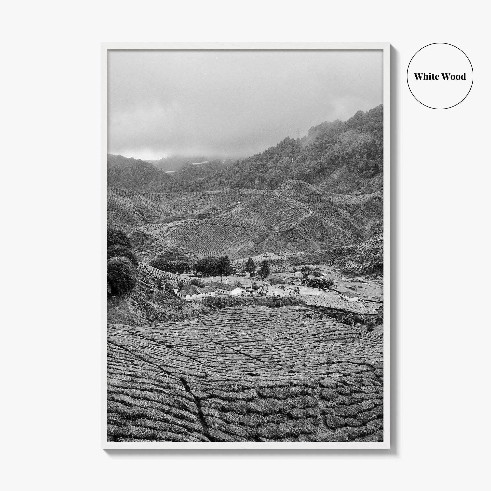 Cameroon Black and White Fine Art Photo Print, Highland Tea Farm, Africa Wall Poster