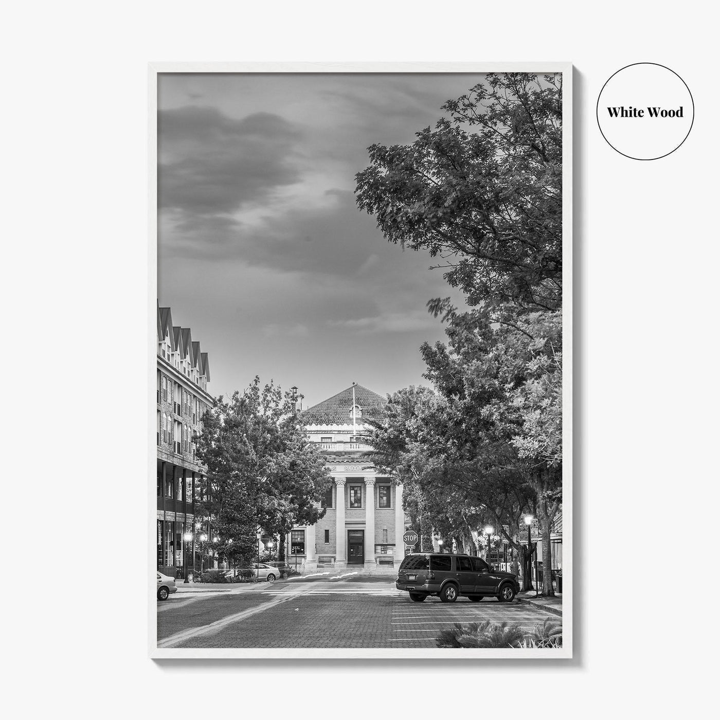 Gainesville Black and White Fine Art Photo Print, FL USA, Wall Poster