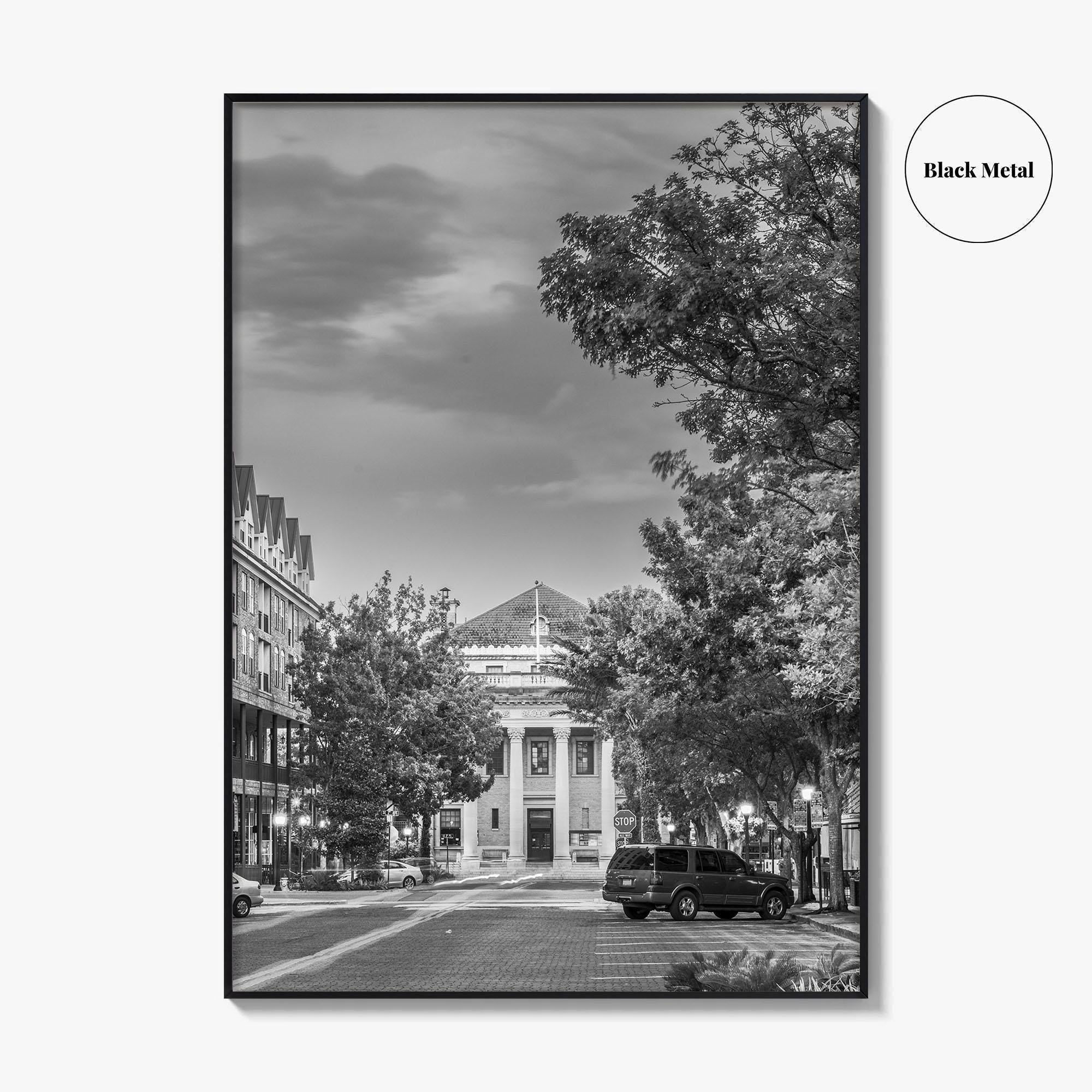 Gainesville Black and White Fine Art Photo Print, FL USA, Wall Poster