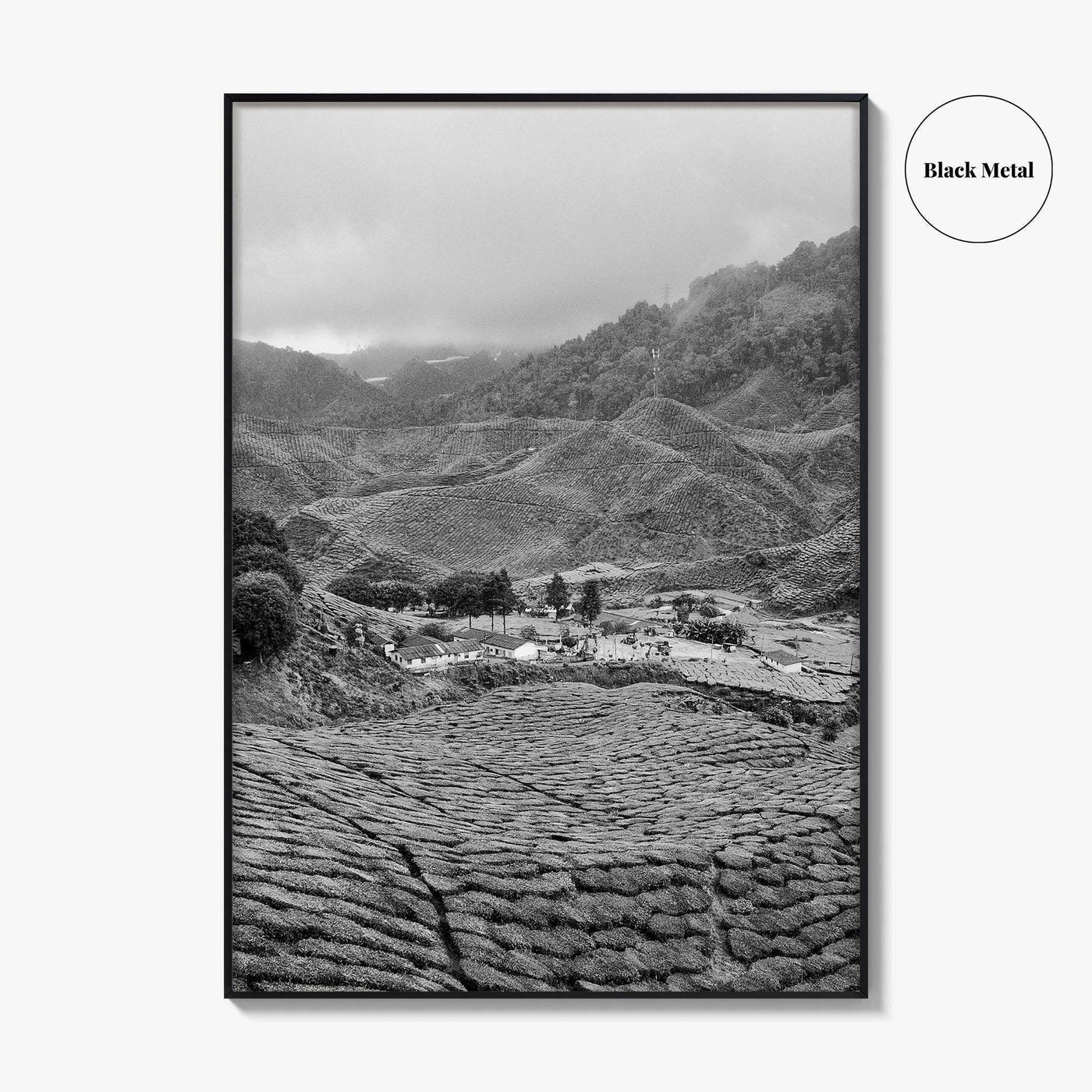 Cameroon Black and White Fine Art Photo Print, Highland Tea Farm, Africa Wall Poster