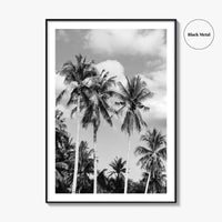 Palm Springs Black and White Fine Art Photo Print, Coachella Valley California Poster