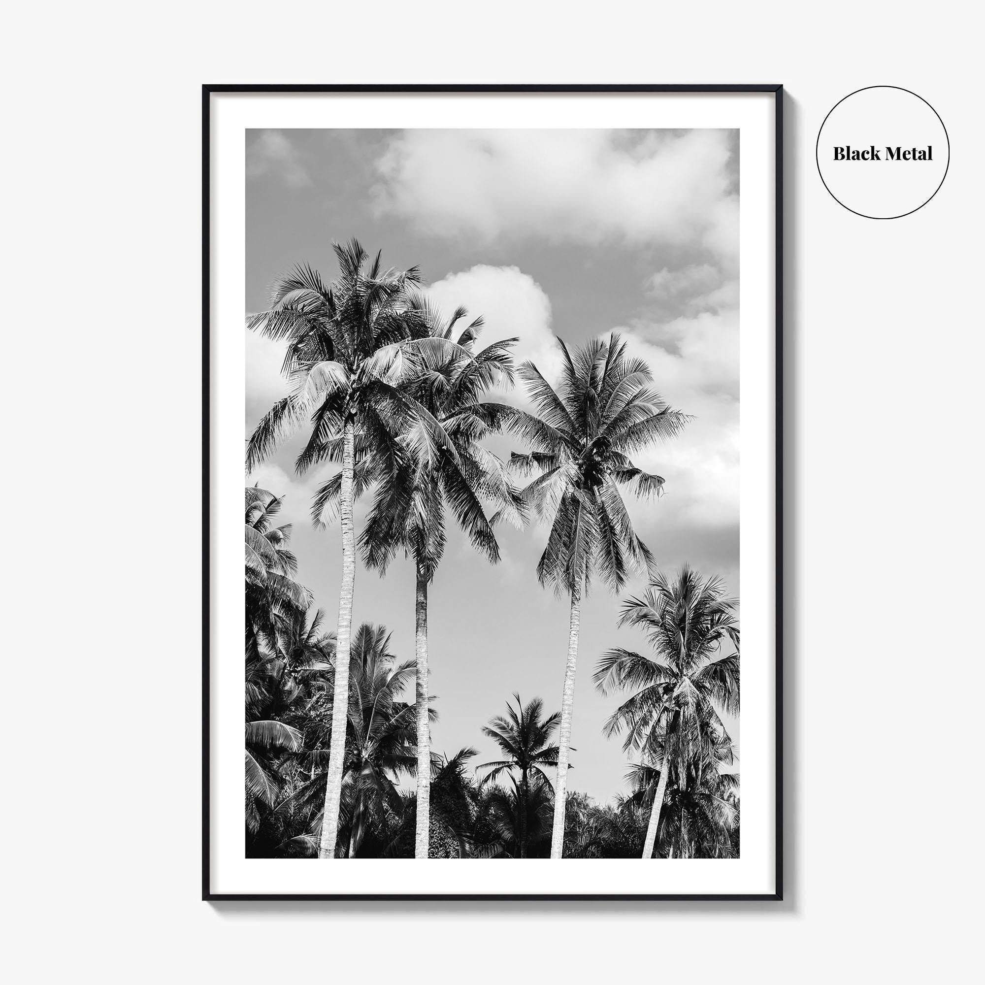 Palm Springs Black and White Fine Art Photo Print, Coachella Valley California Poster