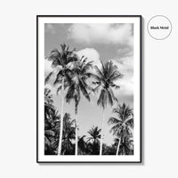 Palm Springs Black and White Fine Art Photo Print, Coachella Valley California Poster