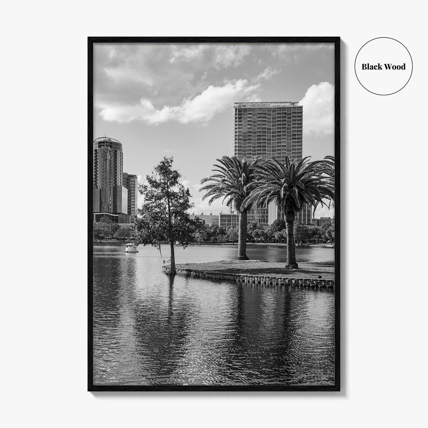 Orlando Skyline Black and White Fine Art Photo Print, Lake Eola Florida Poster