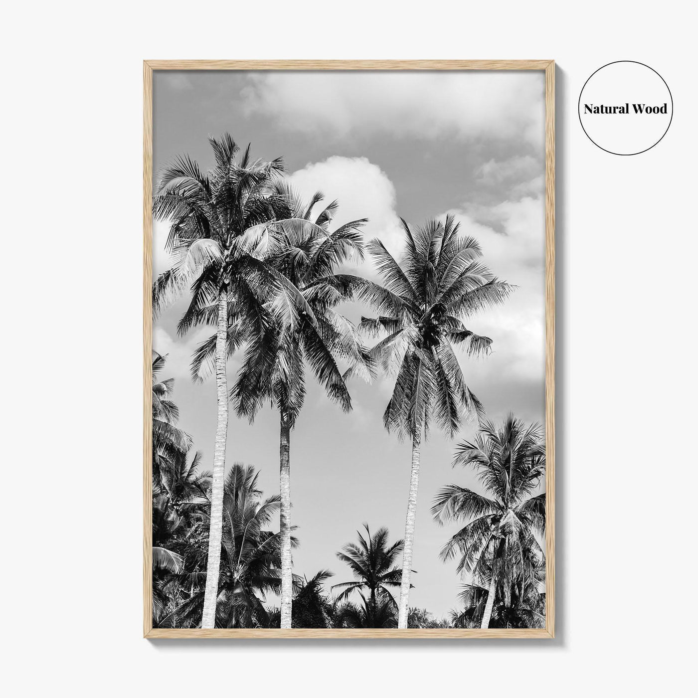 Palm Springs Black and White Fine Art Photo Print, Coachella Valley California Poster