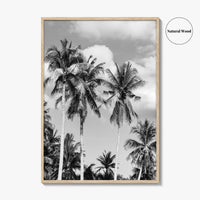 Palm Springs Black and White Fine Art Photo Print, Coachella Valley California Poster