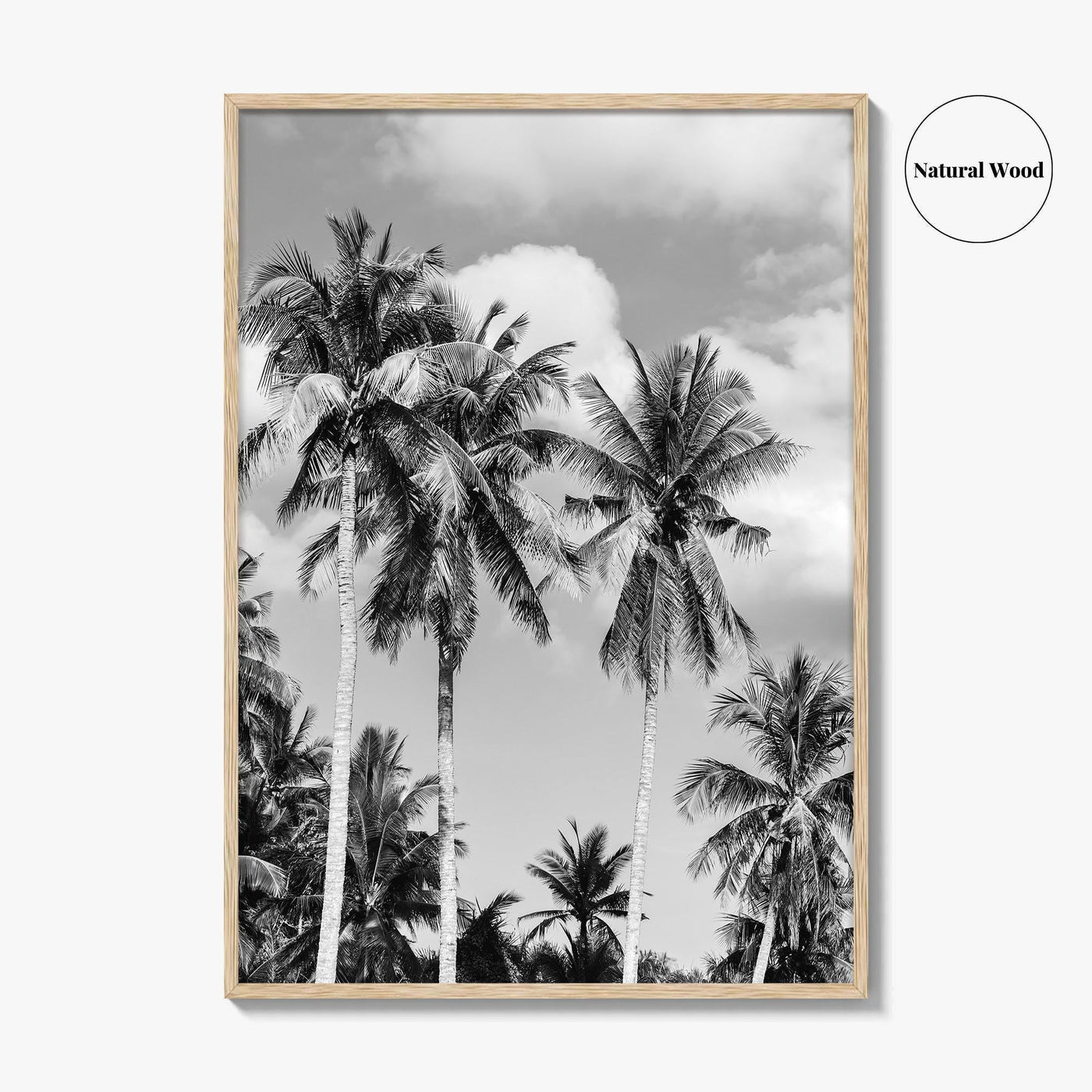 Palm Springs Black and White Fine Art Photo Print, Coachella Valley California Poster