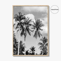 Palm Springs Black and White Fine Art Photo Print, Coachella Valley California Poster