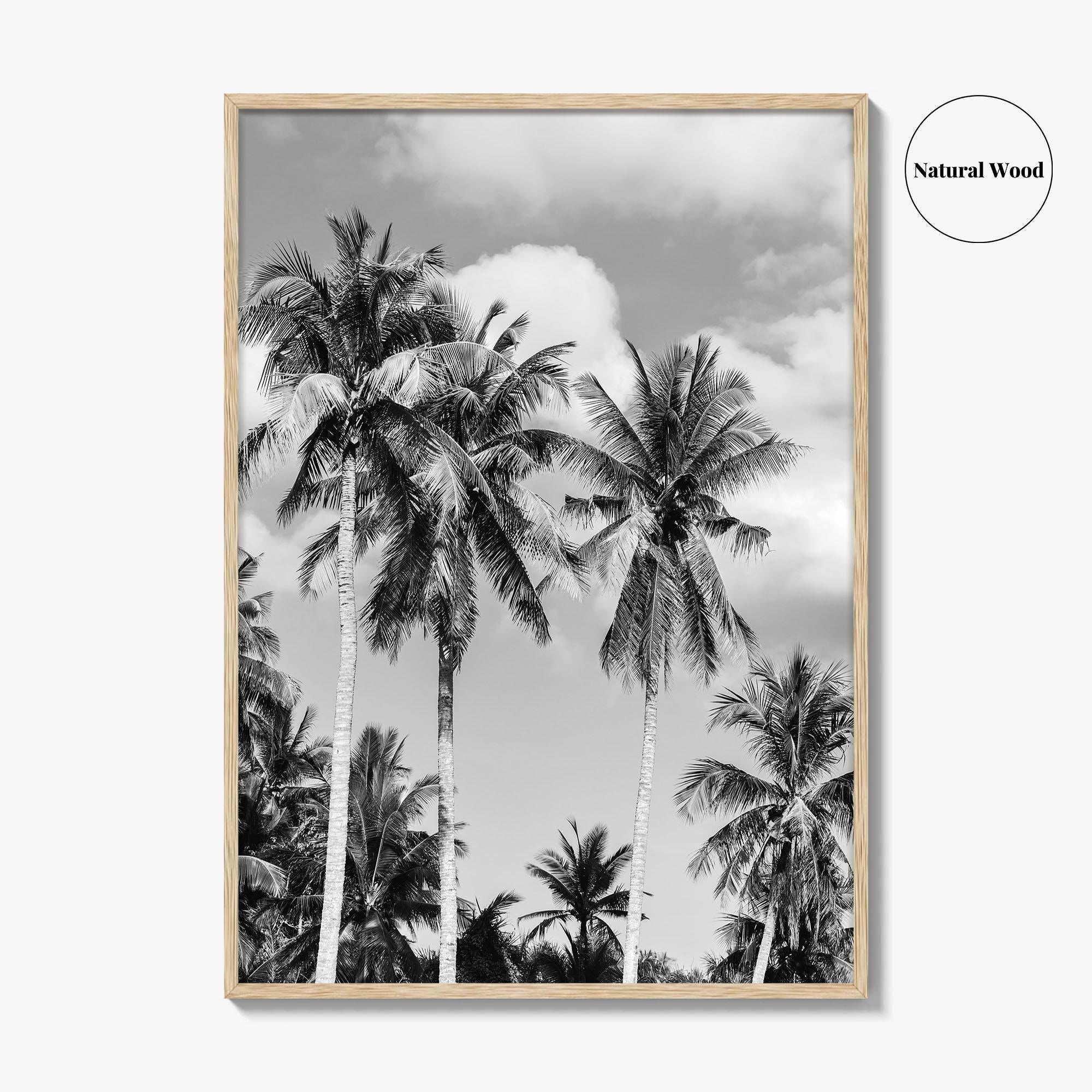 Palm Springs Black and White Fine Art Photo Print, Coachella Valley California Poster