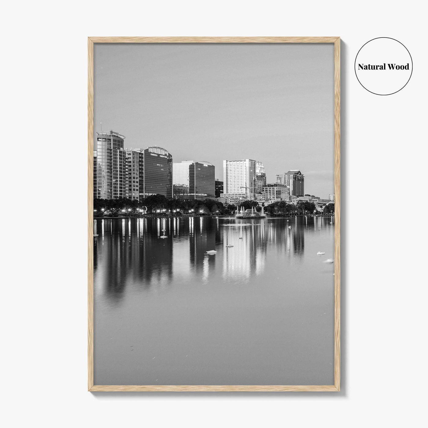 Orlando Black and White Fine Art Photo Print, Lake Eola Park Florida Poster