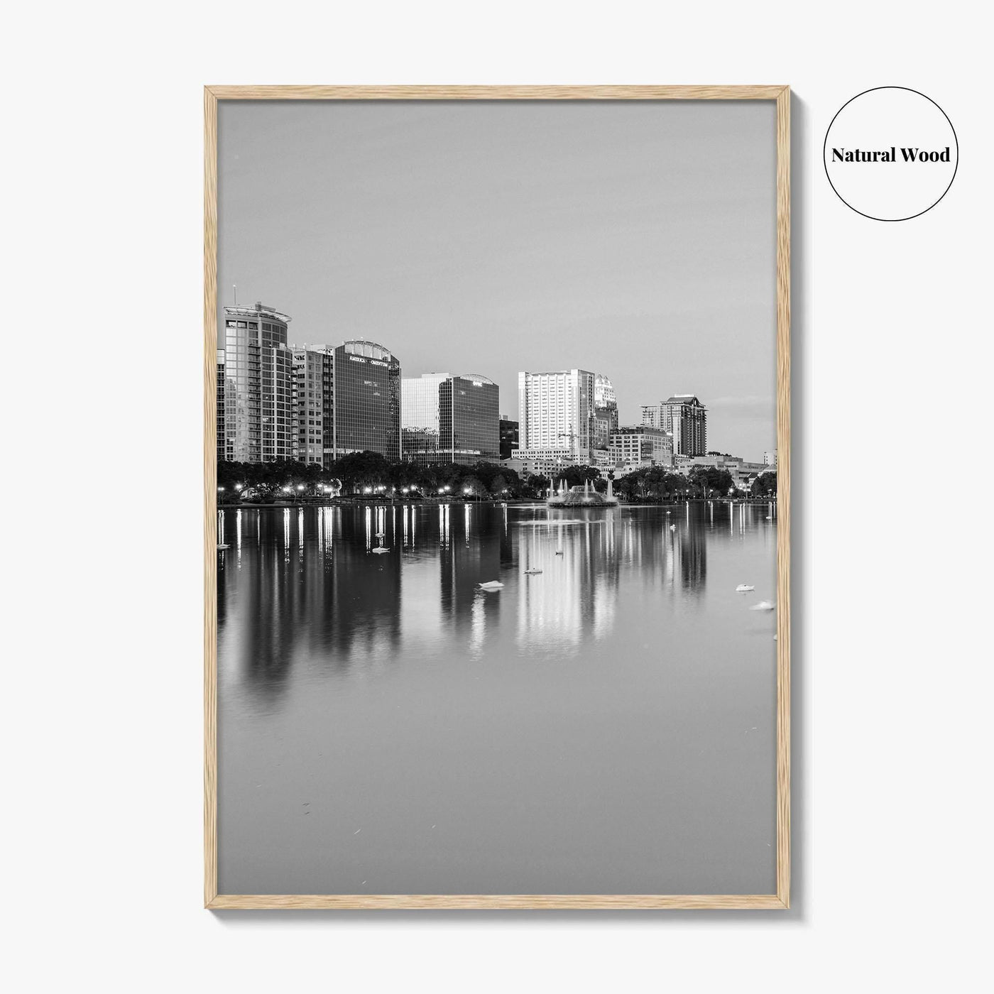 Orlando Black and White Fine Art Photo Print, Lake Eola Park Florida Poster