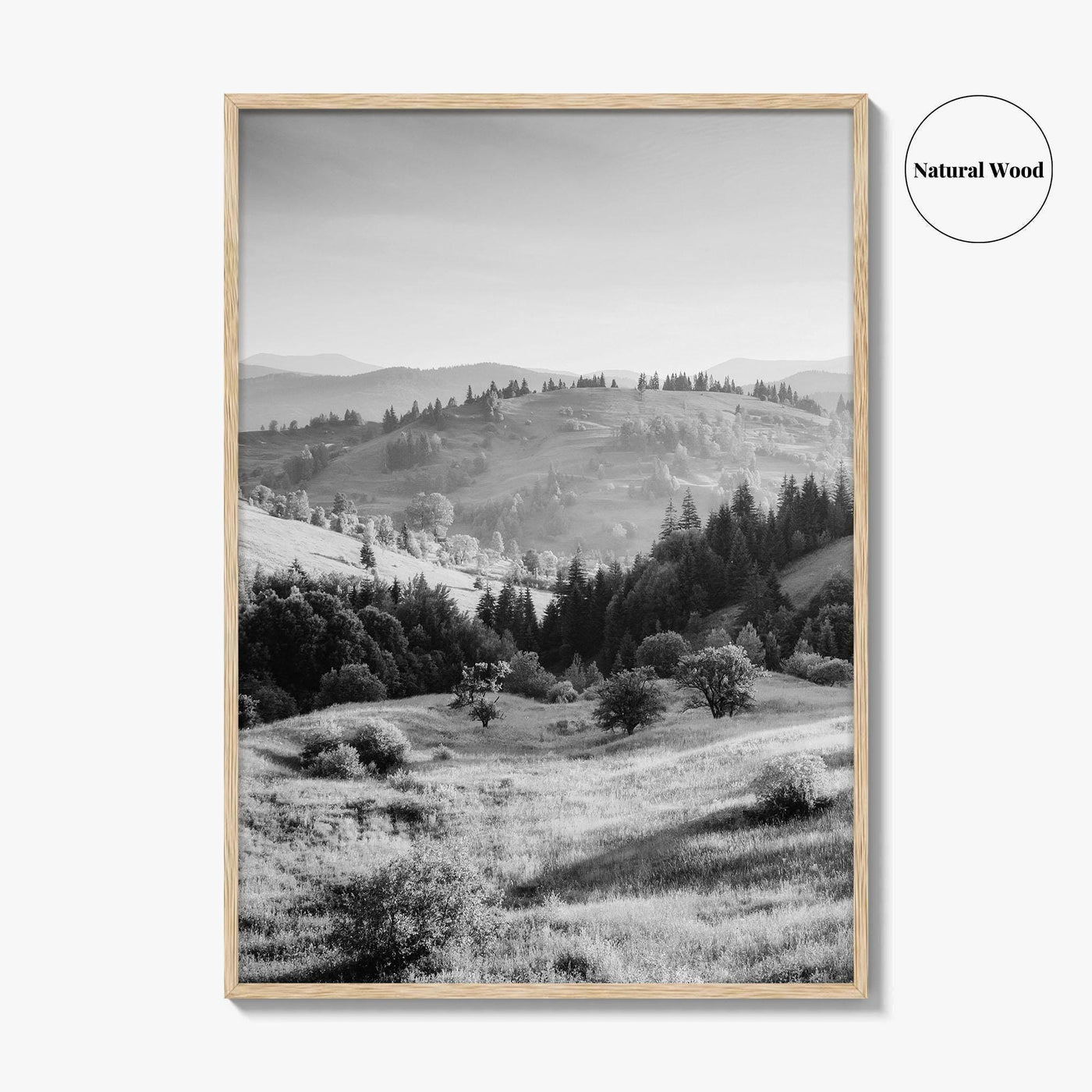 Carpathian Mountains Black and White Fine Art Photo Print, Ukraine Landscape Poster, Europe