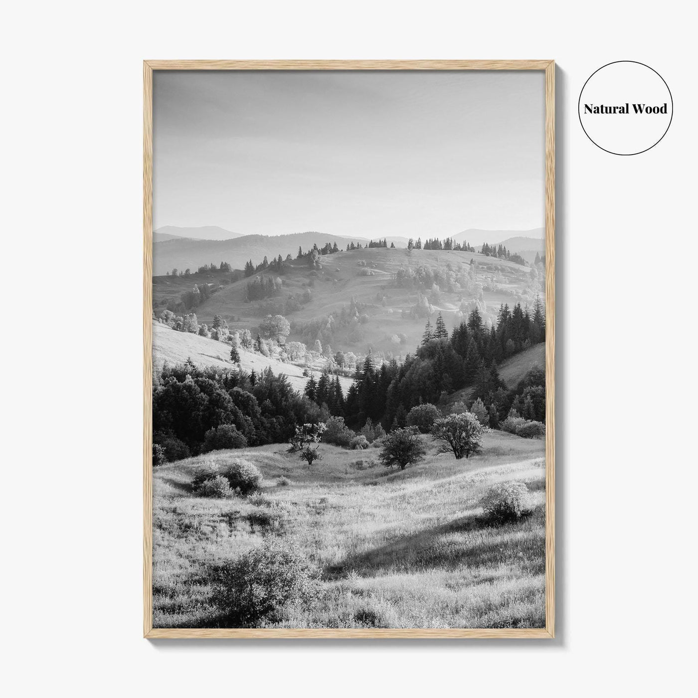 Carpathian Mountains Black and White Fine Art Photo Print, Ukraine Landscape Poster, Europe