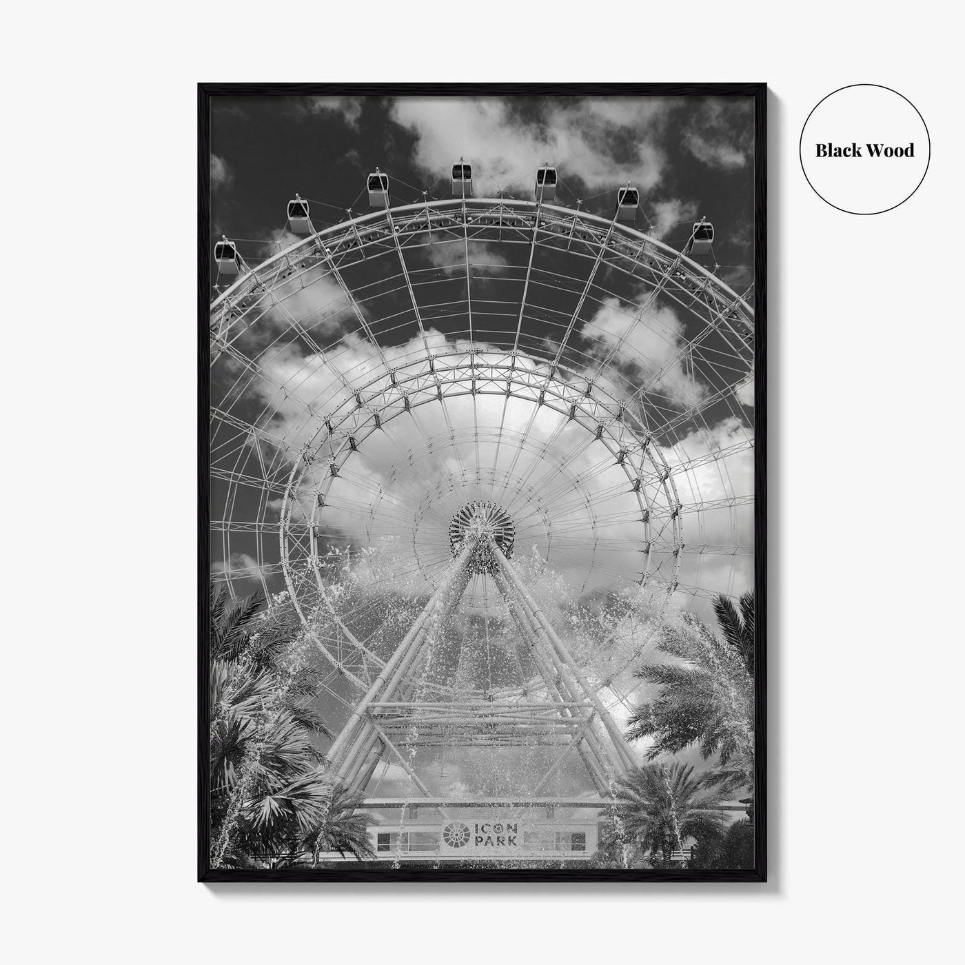 Orlando Black and White Fine Art Photo Print, Orlando Eye, Florida Poster, USA