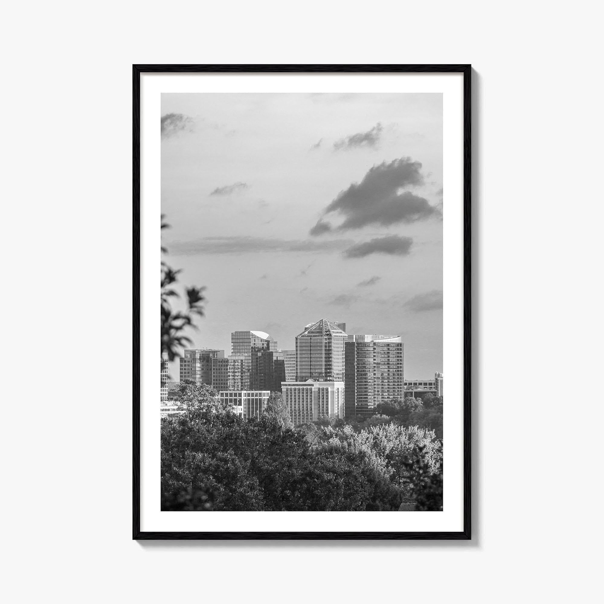 Northern Virginia Black and White Fine Art Photo Print, Washington DC, USA Wall Poster