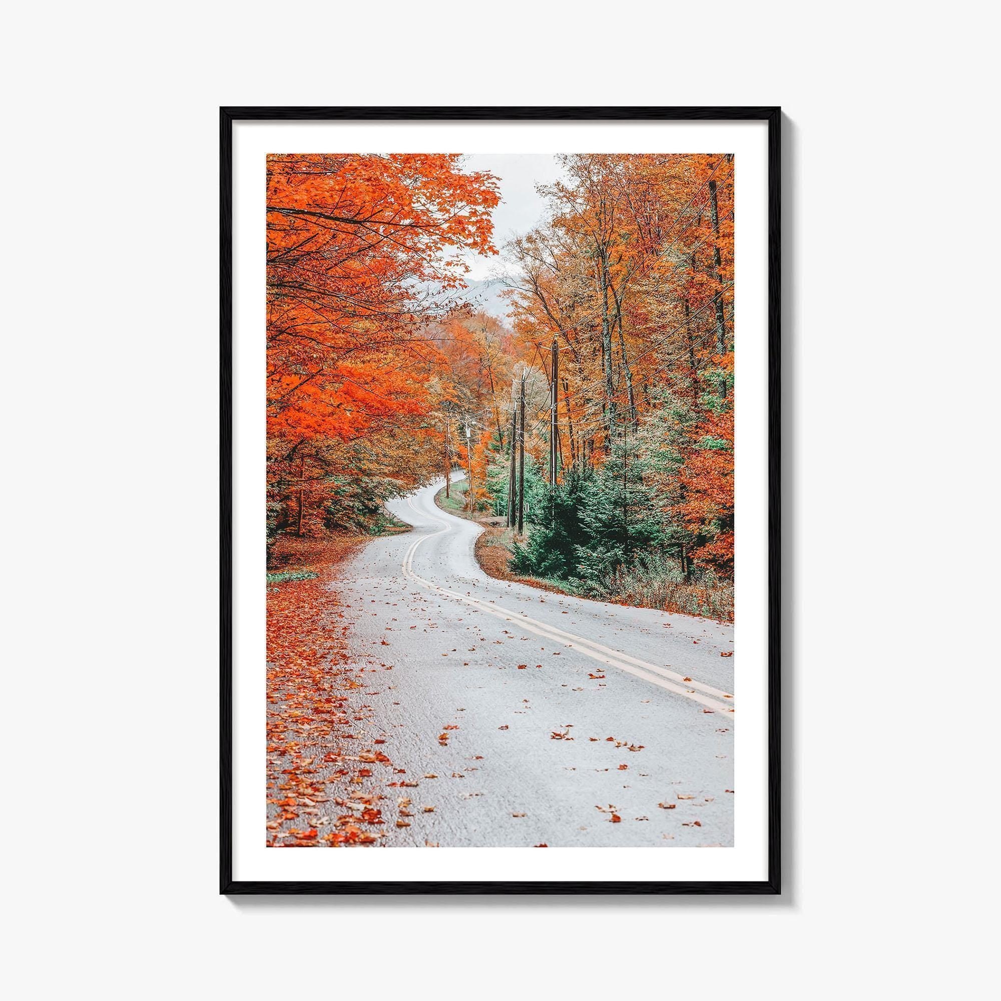 Adirondack Mountains Fall Fine Art Photo Print, Old Forge NY, Hollywood Road, Wall Poster