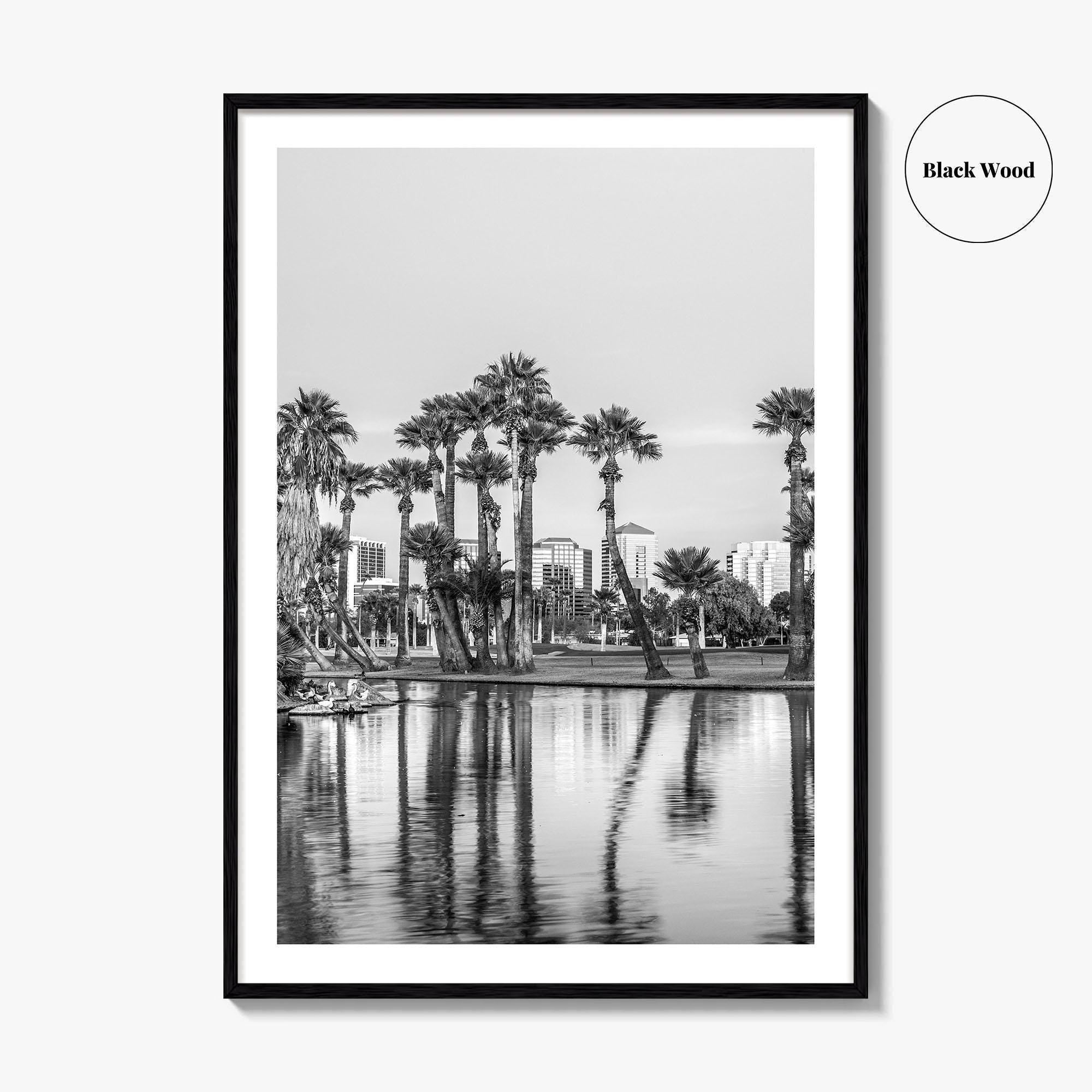 Phoenix Skyline Black and White Fine Art Photo Print, Encanto Park Arizona Poster
