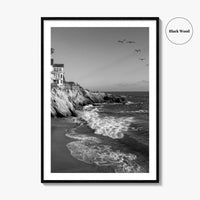 Southern California Black and White Fine Art Photo Print, Coastline Poster